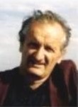 Dmitraje Bjelica
